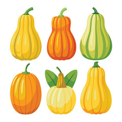 six hubbard squash vegetable separately set  isolated  on white background