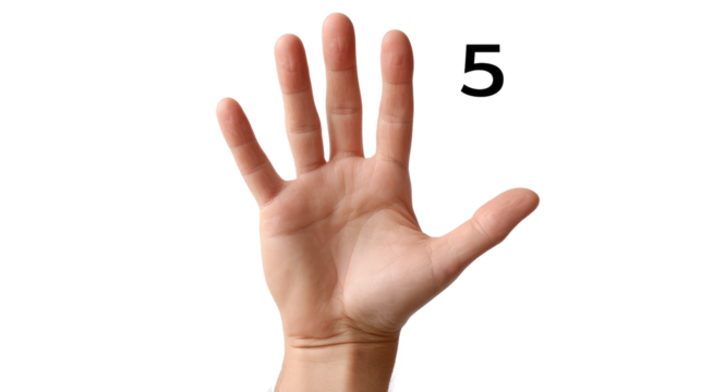 Counting Hand: A simple image of a hand displaying the number five, showcasing the art of counting.