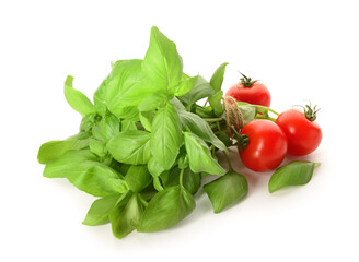 Fresh green basil and tomatoes on white background