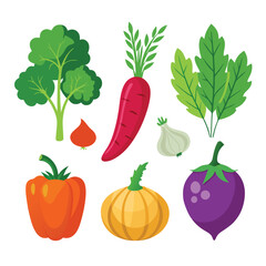 six indian vegetables vegetable separately set  isolated  on white background
