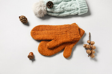Pair of knitted mittens with warm hat and autumn decor on white background