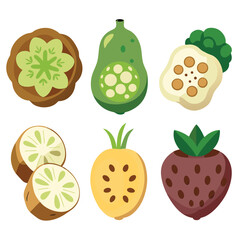 six lotus root vegetable separately set  isolated  on white background