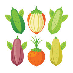 six malanga vegetable separately set  isolated  on white background