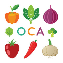 Fototapeta premium six oca vegetable separately set isolated on white background