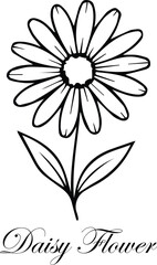 Daisy flower outline design isolated on white background eps