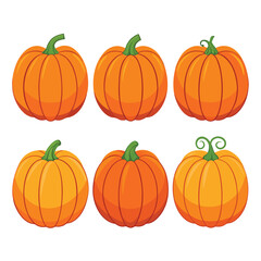 six pumpkin vegetable separately set  isolated  on white background