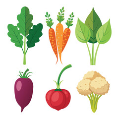 six quinoa vegetable separately set  isolated  on white background