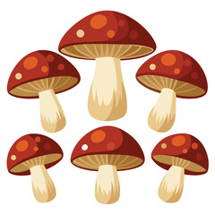 six shiitake mushrooms vegetable separately set  isolated  on white background