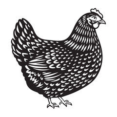 hen vector art-01.eps