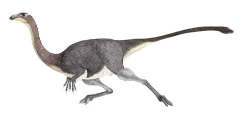 ガリミムス・ブラトゥス異名オルニトミムスの想像図。白亜紀後期のモンゴルに生息した。ダチョウ型の恐竜の中では中程度の大きさ。