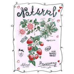 Hand sketch Strwberry graphics. handwriting slogan font. womens girls top t shirt design. summer fruit art illustration.