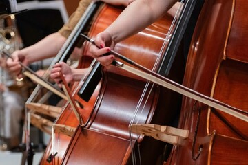 Close-up of String Instrument Performance in Orchestra Rehearsal