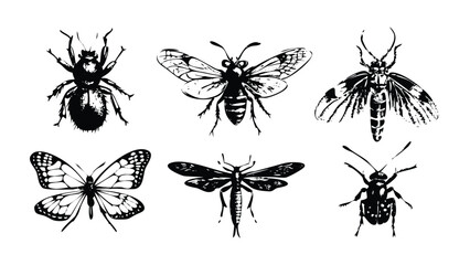 Insect Anatomy Icon Pack in Stipple Ink Style. Black and White Vector Collection of Isolated Bug Parts. Vintage Entomology Illustration Set