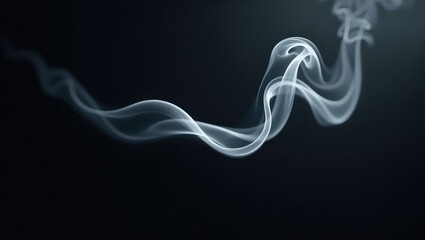 Graceful Smoke Curves Twisting Through a Deep Black Space