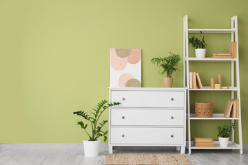 Interior of living room with white commode, shelf unit and plants