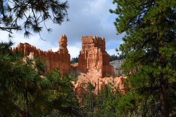 Looking through pine trees at castle shaped orange rock hoodoo, summer vacation exploring in Bryce Canyon National Park, Utah
