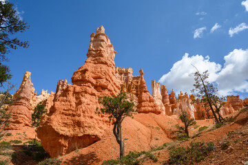 Looking up from base of the amphitheater on queens trail at dramatic orange rock hoodoos, summer vacation exploring in Bryce Canyon National Park, Utah
