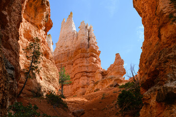 Looking up from base of the amphitheater on queens trail at dramatic orange rock hoodoos, summer vacation exploring in Bryce Canyon National Park, Utah
