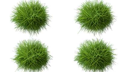 top view set of green grass tuft on white background