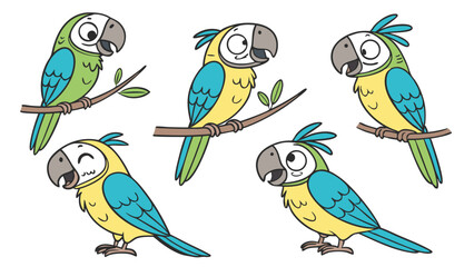 6 pcs cute parrots isolated on white background