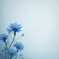 blue flower background