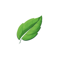 Obraz premium Green leaf icon flat vector design