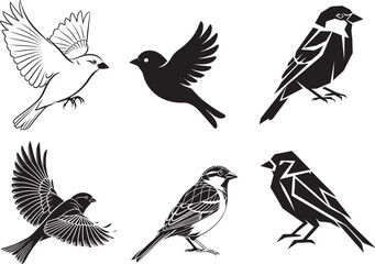 Obraz premium Abstract Black and White Sparrow Illustrations