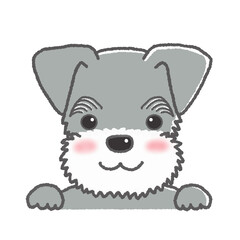 笑顔の表情のミニチュアシュナウザー