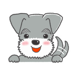 喜んでる表情のミニチュアシュナウザー