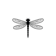Simplified Black and White Dragonfly with Detailed Wings on a White Background