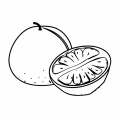 Hand-drawn Illustration of a Juicy Orange, Whole and Halved, Showing Segments