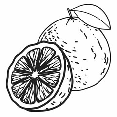 Hand-Drawn Illustration of a Juicy Orange, Sliced and Whole, with Leaf