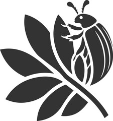 Beetle vector insect isolated silhouette black illustration