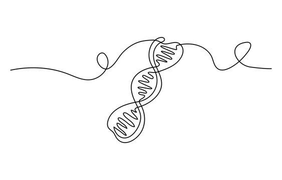 Continuous one line drawing of DNA. Single line drawing illustration of rhino DNA. National science day concept line art. Editable outline