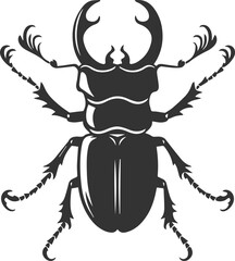 Beetle vector insect isolated silhouette black illustration