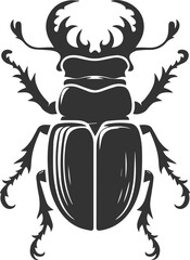 Beetle vector insect isolated silhouette black illustration