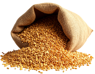3D Render of Tilted Burlap Bag Spilling Wheat Grains, Isolated on White