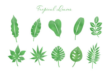 Naklejka premium Tropical Leaf Illustration Set – Vivid Green (Vector)