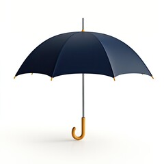 Closed dark umbrella studio shot.  Protection against rain