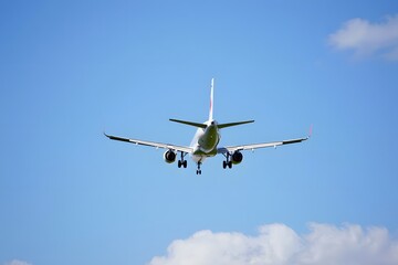 Fototapeta premium airplane in flight