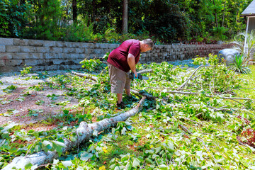 Man cleaning up fallen tree branches in backyard during after storm in residential suburban location