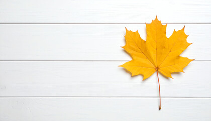 A vibrant yellow maple leaf rests on a textured white wooden surface, highlighting the beauty of autumn foliage