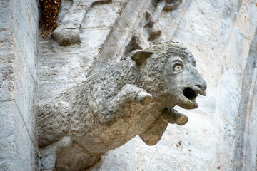 Gargoyle on St Paul's Church - Munich - Germany