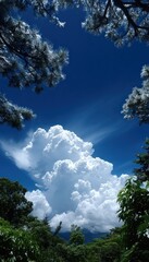 Obraz premium Sky, clouds, trees, nature