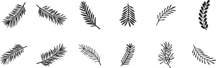 Botanical Branches and Leaves Vector.