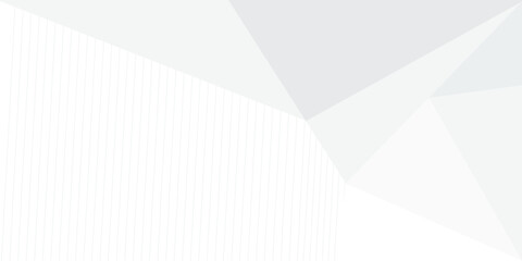 grey light abstract white line background modern design Vector illustration