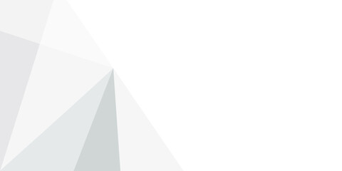 grey light abstract white line background modern design Vector illustration