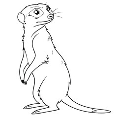 A meerkat standing upright in a black and white drawing