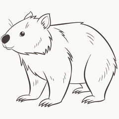 Illustration of a wombat standing on a white background
