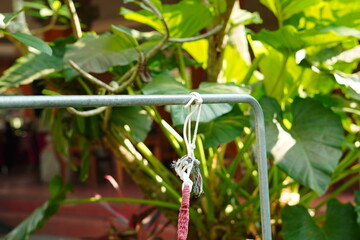 Hammock rope hanging from an iron pole